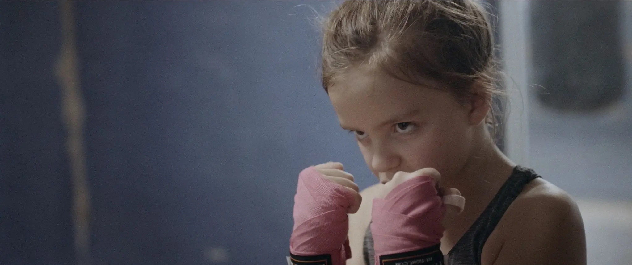 Shadow Boxer