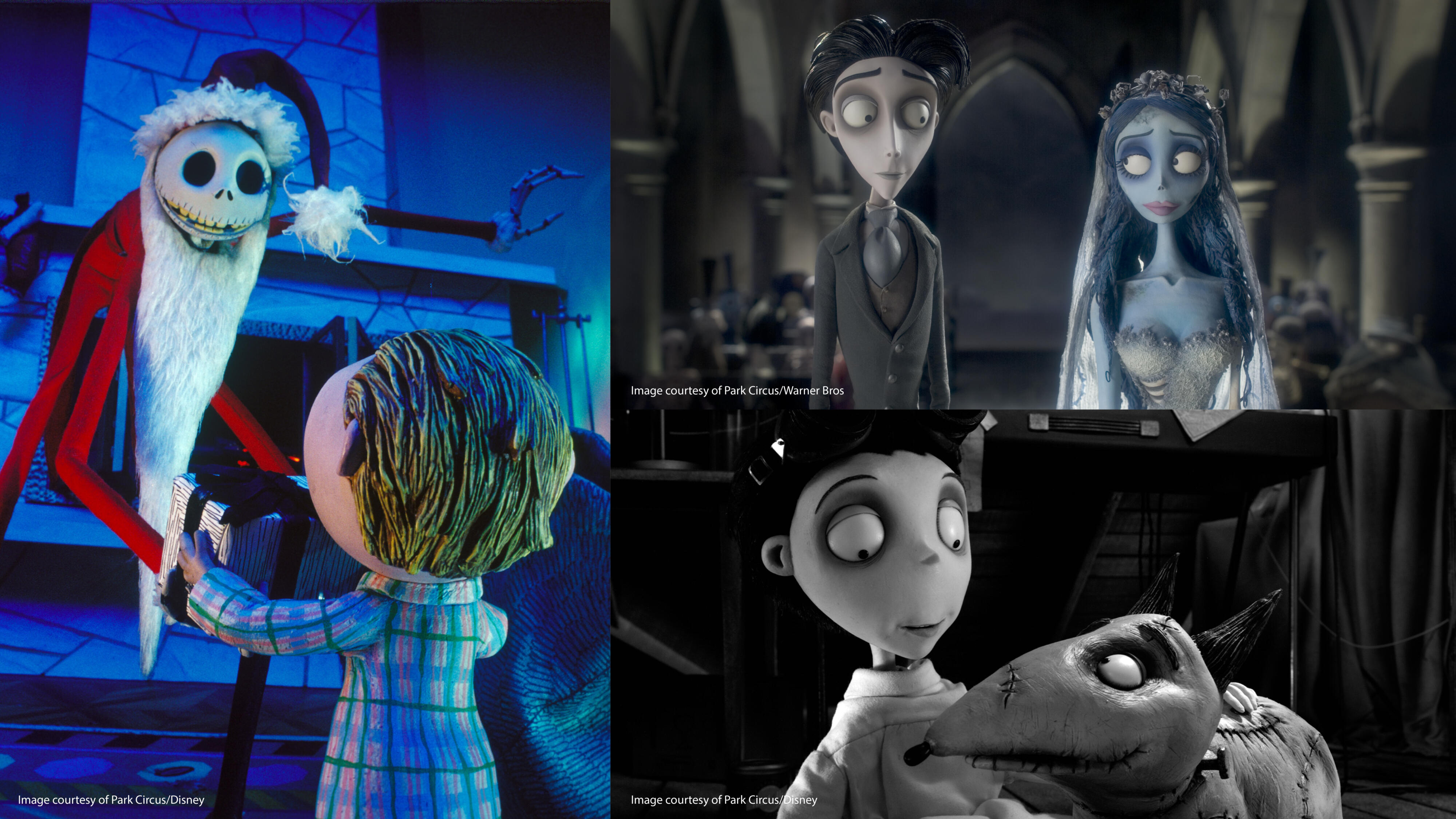 Αφιέρωμα ΤΙΜ ΜΠΑΡΤΟΝ: ΠΑΡΑΜΥΘΙΑ ΣΕ STOP-MOTION