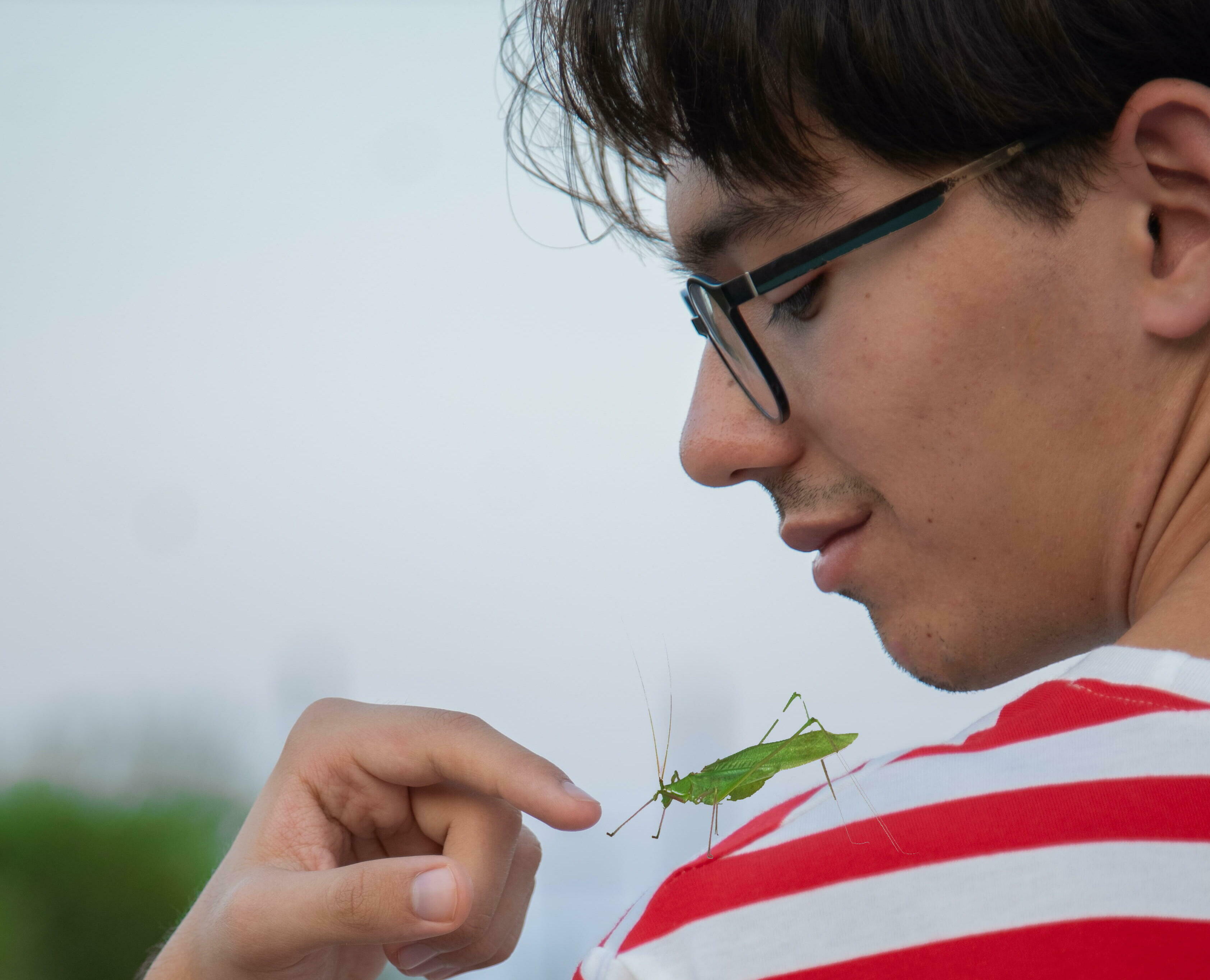 Bugboy